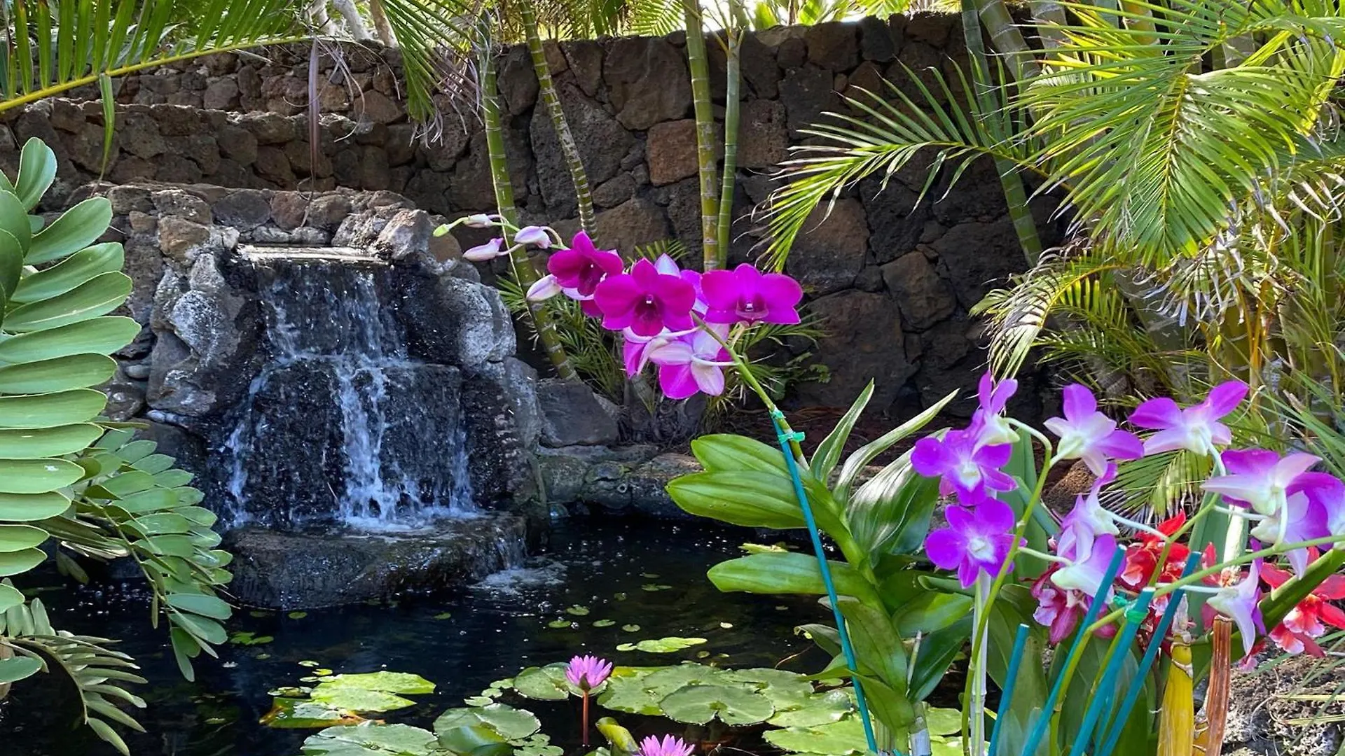 Vakantiehuis Ohana Retreat Koloa